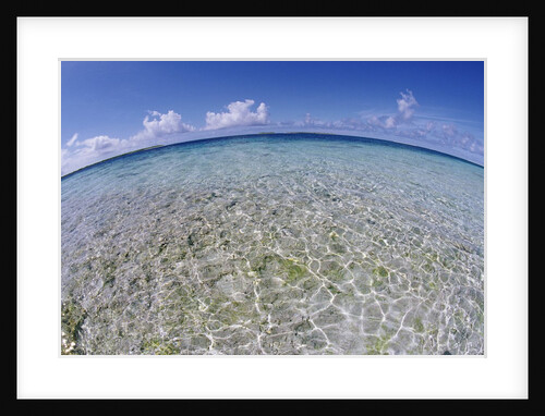 Clear Tropical Waters at Pitcairn Islands by Anonymous