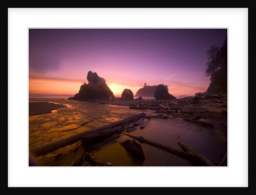 Ruby Beach in Olympic National Park at Sunset by Anonymous