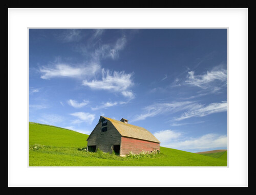 Old Barn in Wheat Field in Eastern Washington by Anonymous