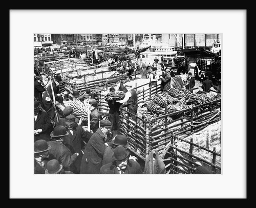 Bananas Arriving at Dock by Anonymous