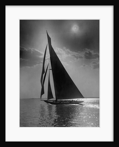 The Vanitie During the America's Cup by Anonymous