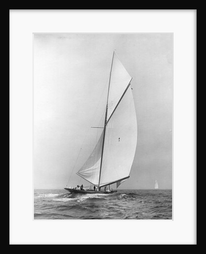 The Vanitie by Anonymous
