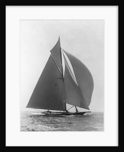 The Vanitie by Anonymous