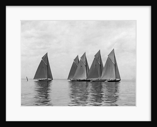 The Istalena Greyline in a Race by Anonymous
