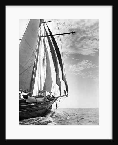 The Guinevere at Sail by Anonymous