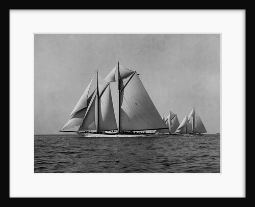 Full-Sailed Yachts in a Schooner Race by Anonymous