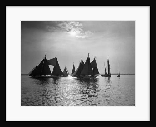 Sailboats Gather in a Bay by Anonymous