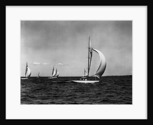 Sailboats Racing in Regatta by Anonymous