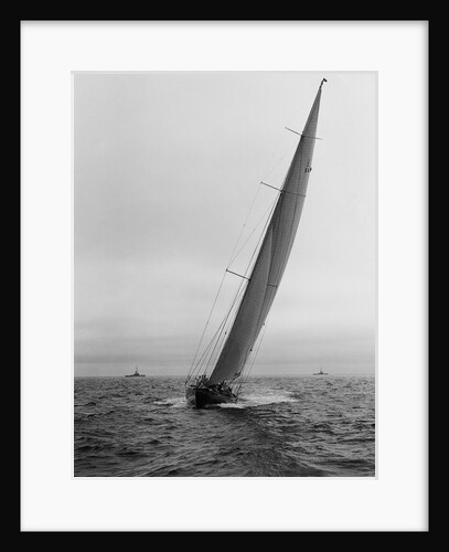 Sailboat Racing in the America's Cup by Anonymous