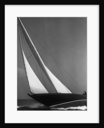 Ibis Yacht Cruising by Anonymous