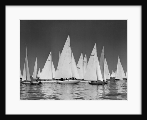 Star Class Sailboats Participate in a Race by Anonymous