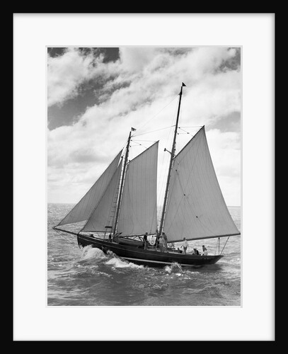 Sailboat Participating in a Race by Anonymous