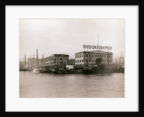Boston Fish Pier at Waterfront by Anonymous