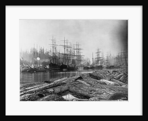 Logjam in Harbor at Port Blakely by Anonymous