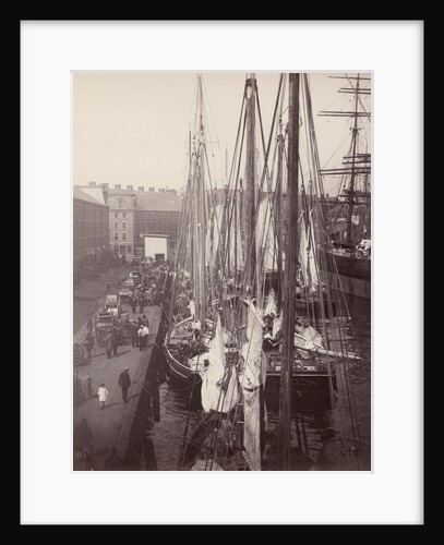 Schooners Docked at Commercial Wharf by Anonymous