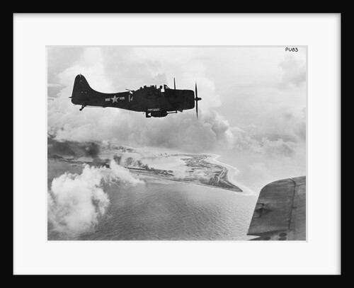 Navy Dive Bomber by Anonymous