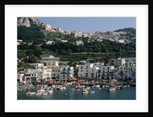 Capri Harbor by Anonymous