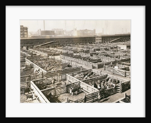 Overhead View of Chicago Stockyards by Anonymous