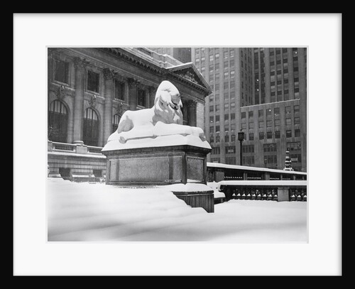 View of New York Public Library by Anonymous