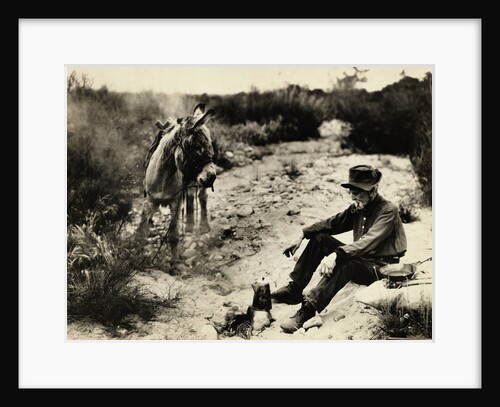 Prospector Preparing Meal for Himself by Anonymous