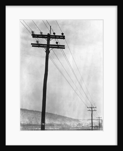 Telephone Poles in Snowy Weather by Anonymous
