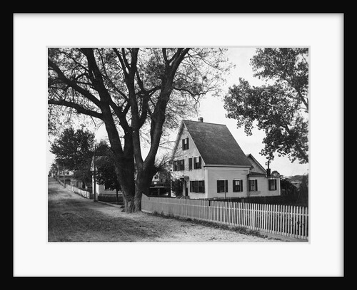 A Street in a Cape Cod Town by Anonymous