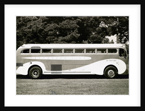 Greyhound Bus by Anonymous