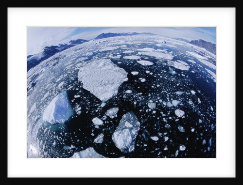 Ice in Nansen Fjord by Anonymous