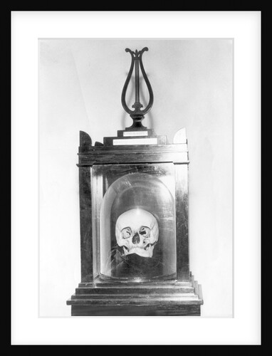 Skull of Composer Franz Josef Hadyn by Anonymous