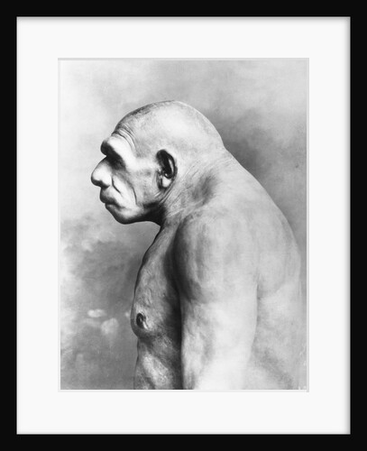 Neanderthal Man by Anonymous