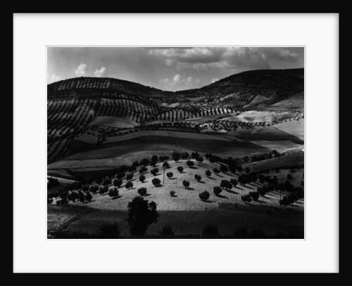 Guatemala Landscape, 1968 by Anonymous