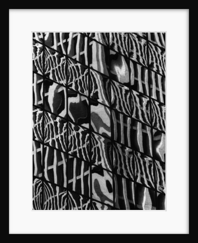 Window Reflections by Anonymous