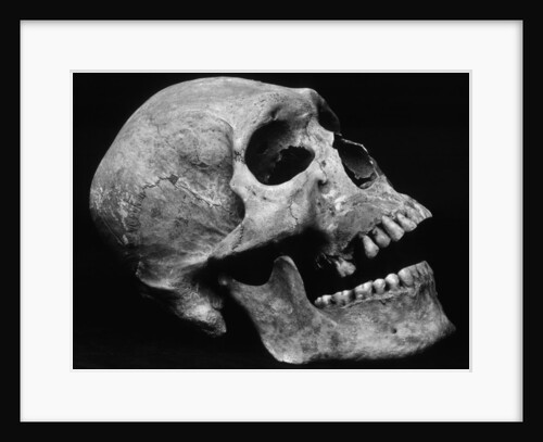 Human Skull by Brett Weston