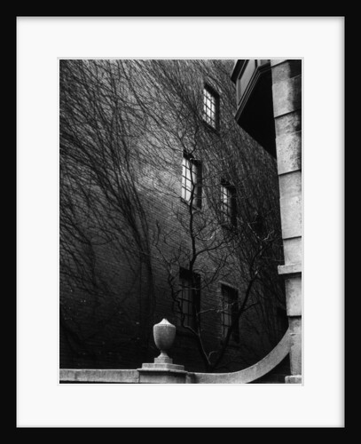 Vine-Covered Apartment Building, Manhattan, 1945 by Anonymous