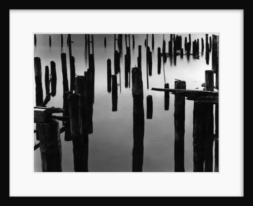 Piles in Fog, 1968 by Anonymous