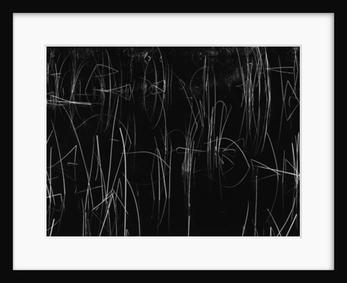 Reeds, Oregon, 1975 by Anonymous