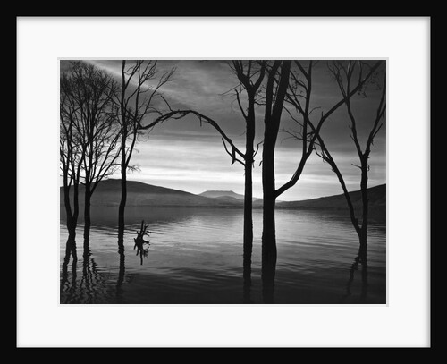 Lake Patzcuaro, Mexico 1976 by Anonymous
