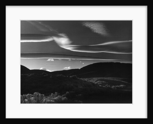Desert Prairie, 1981 by Anonymous