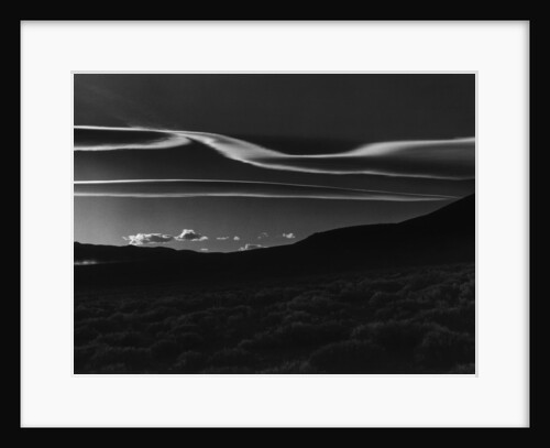 Desert Prairie, 1981 by Anonymous