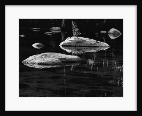 Rocks in a Shallow Lake by Brett Weston