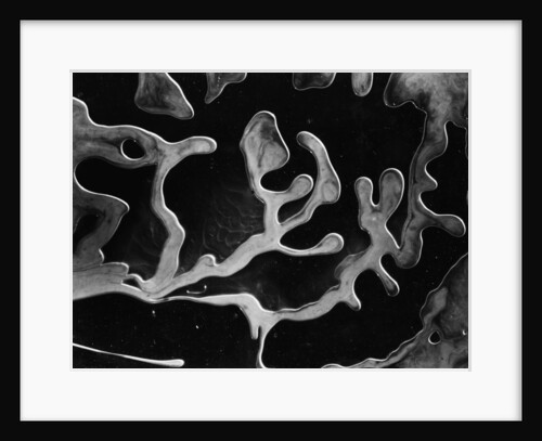 Frozen Liquids by Anonymous