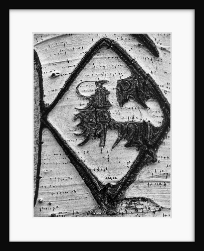 Grafitti Carved in Birch Bark by Anonymous