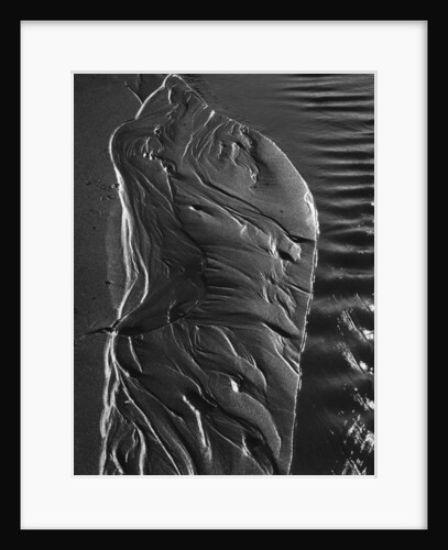 Beach Stream by Brett Weston