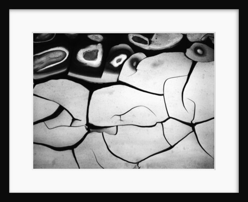 Cracks in Mud by Anonymous