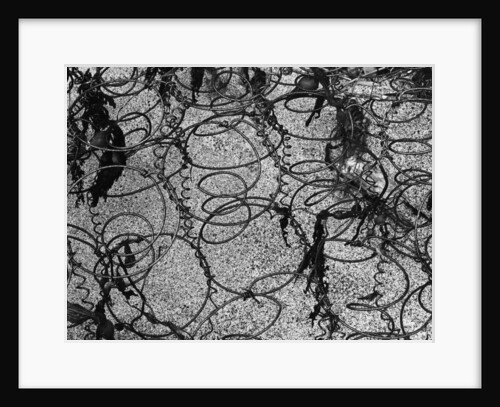 Mattress Springs by Anonymous