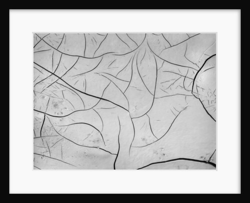 Mud Cracks by Brett Weston