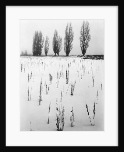 Snowy Landscape by Anonymous