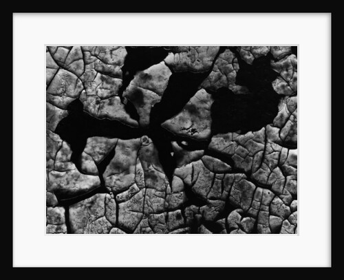 Cracked Surface by Anonymous