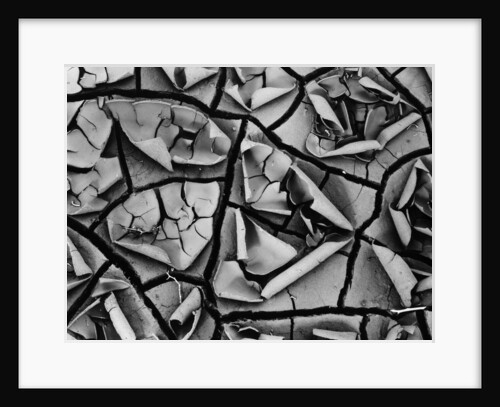 Mud Cracks by Brett Weston
