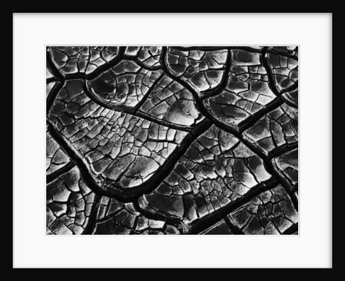 Dry Cracked Mud by Anonymous